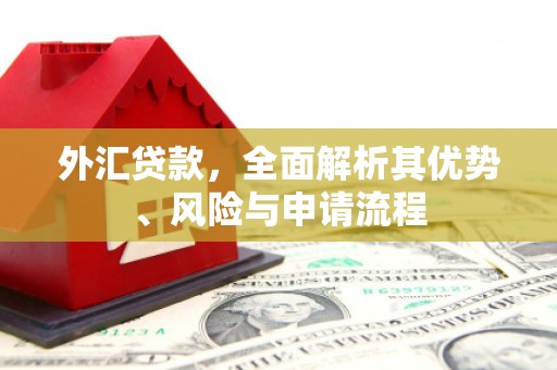 虎门外汇贷款，全面解析其优势、风险与申请流程