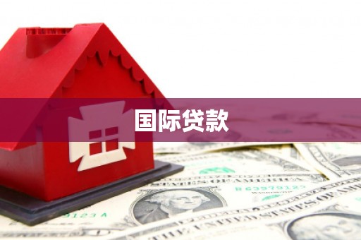 虎门国际贷款
