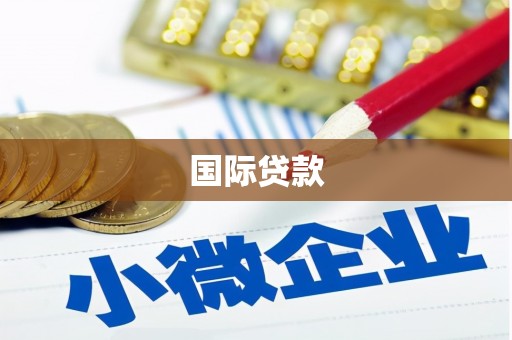 虎门国际贷款