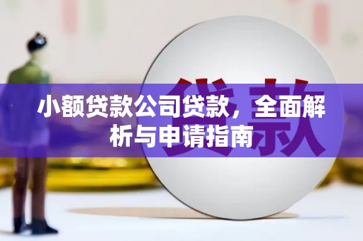 虎门小额贷款公司贷款，全面解析与申请指南