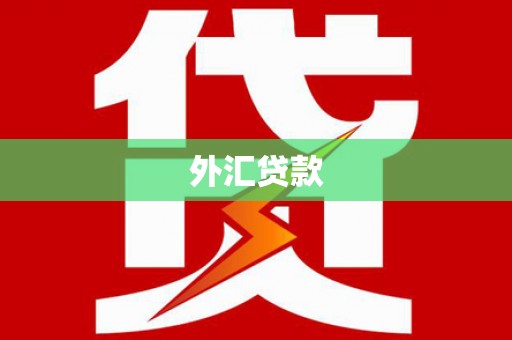 虎门外汇贷款