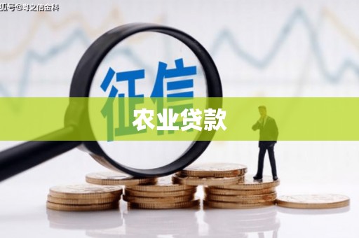 虎门农业贷款
