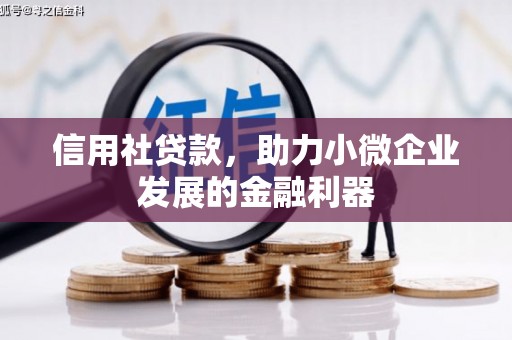 虎门信用社贷款，助力小微企业发展的金融利器