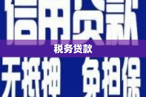 虎门税务贷款