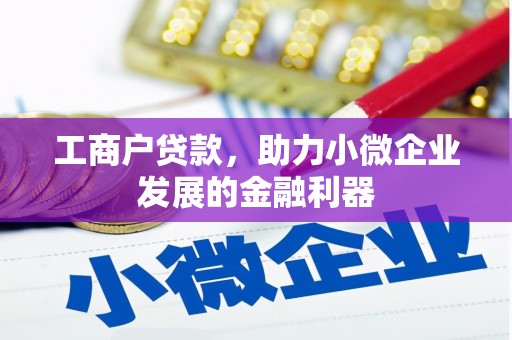 虎门工商户贷款，助力小微企业发展的金融利器