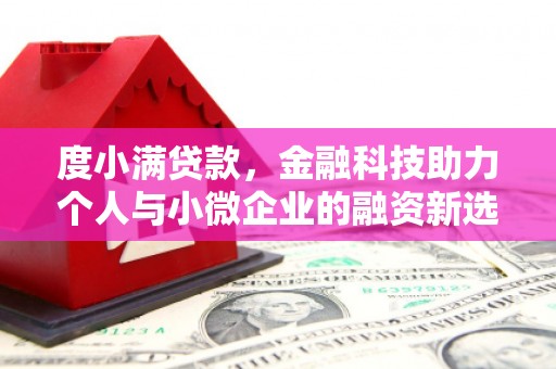 虎门度小满贷款，金融科技助力个人与小微企业的融资新选择