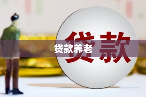 虎门贷款养老