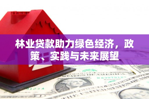 虎门林业贷款助力绿色经济，政策、实践与未来展望