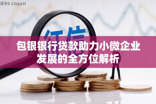虎门包银银行贷款助力小微企业发展的全方位解析