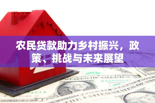 虎门农民贷款助力乡村振兴，政策、挑战与未来展望