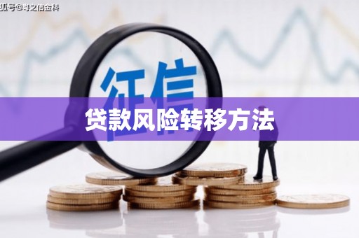 虎门贷款风险转移方法