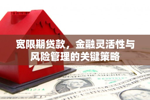 虎门宽限期贷款，金融灵活性与风险管理的关键策略