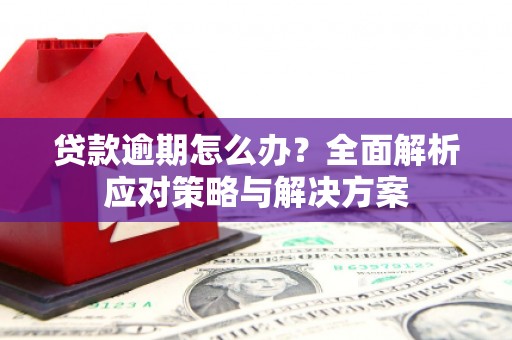 虎门贷款逾期怎么办？全面解析应对策略与解决方案