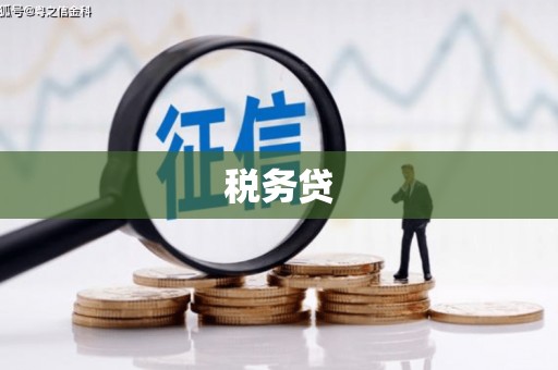 虎门税务贷