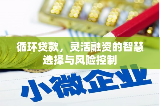 虎门循环贷款，灵活融资的智慧选择与风险控制