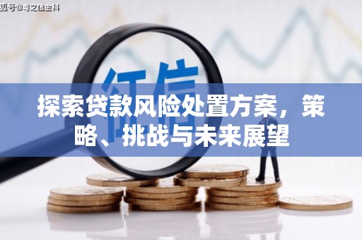 虎门探索贷款风险处置方案，策略、挑战与未来展望