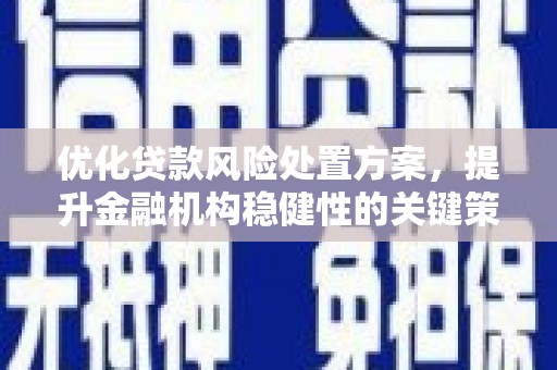 虎门优化贷款风险处置方案，提升金融机构稳健性的关键策略