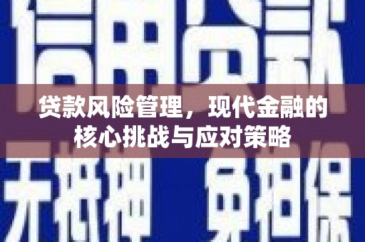 虎门贷款风险管理，现代金融的核心挑战与应对策略