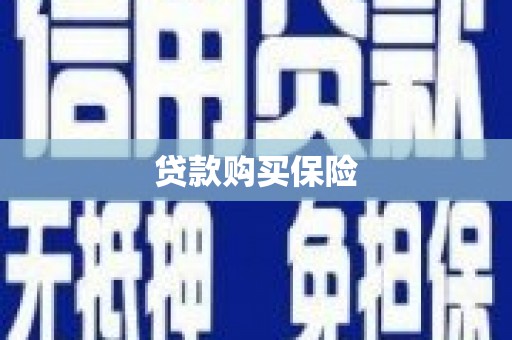 虎门贷款购买保险