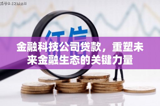 虎门金融科技公司贷款，重塑未来金融生态的关键力量