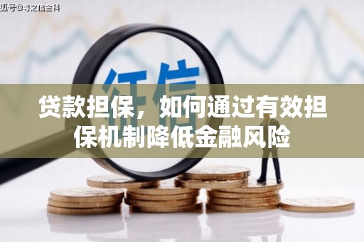 虎门贷款担保，如何通过有效担保机制降低金融风险