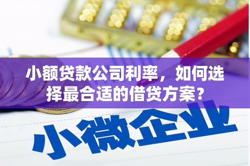 虎门小额贷款公司利率，如何选择最合适的借贷方案？