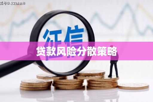 虎门贷款风险分散策略