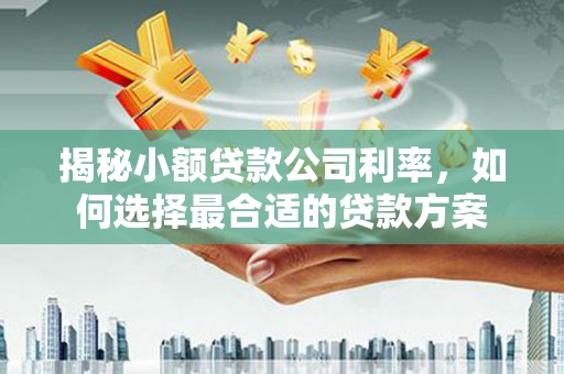 虎门揭秘小额贷款公司利率，如何选择最合适的贷款方案
