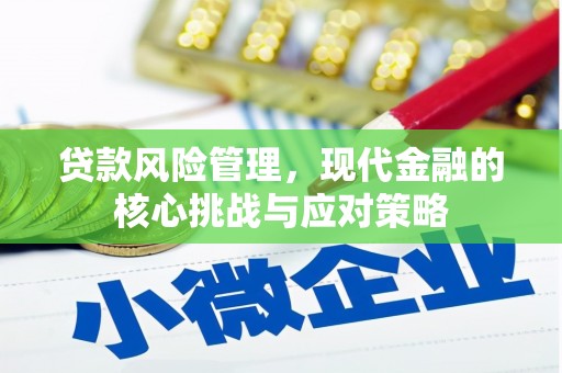 虎门贷款风险管理，现代金融的核心挑战与应对策略