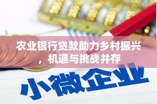 虎门农业银行贷款助力乡村振兴，机遇与挑战并存