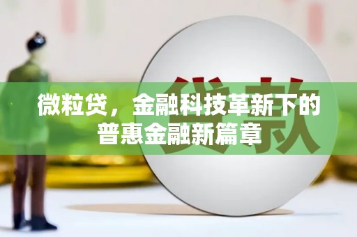 虎门微粒贷，金融科技革新下的普惠金融新篇章
