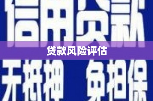 虎门贷款风险评估