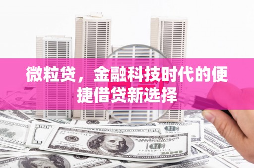 虎门微粒贷，金融科技时代的便捷借贷新选择