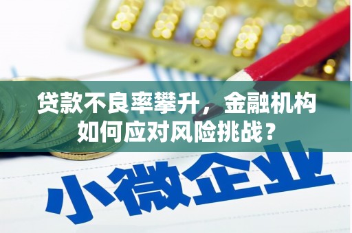 虎门贷款不良率攀升，金融机构如何应对风险挑战？