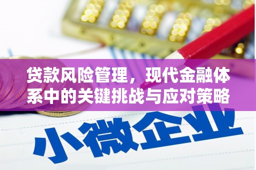 虎门贷款风险管理，现代金融体系中的关键挑战与应对策略
