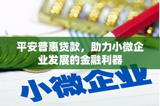 虎门平安普惠贷款，助力小微企业发展的金融利器