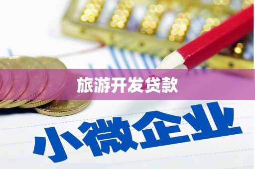 虎门旅游开发贷款