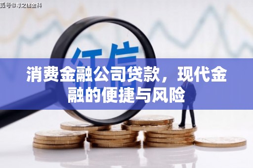 虎门消费金融公司贷款，现代金融的便捷与风险
