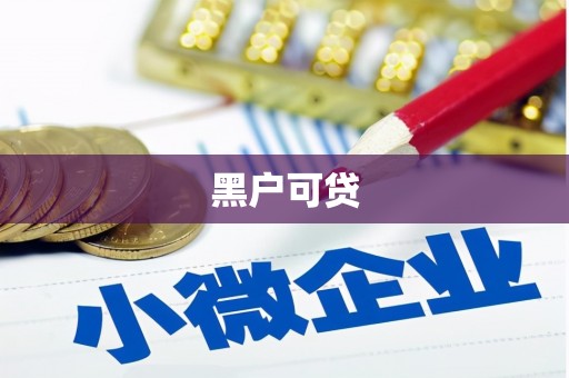 虎门黑户可贷
