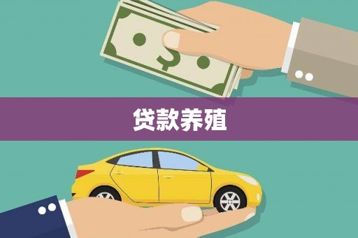 虎门贷款养殖