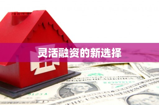 虎门灵活融资的新选择