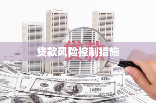 虎门贷款风险控制措施