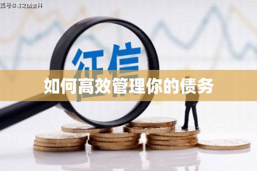 虎门如何高效管理你的债务